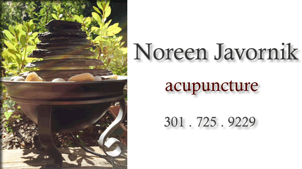 Noreen Javornik Acupuncture
